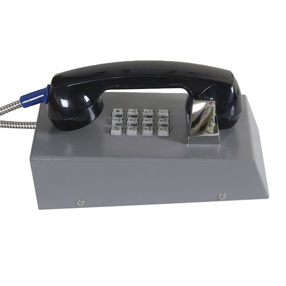 JR201-FK Telefono Antivandalico Vozell - Image 9