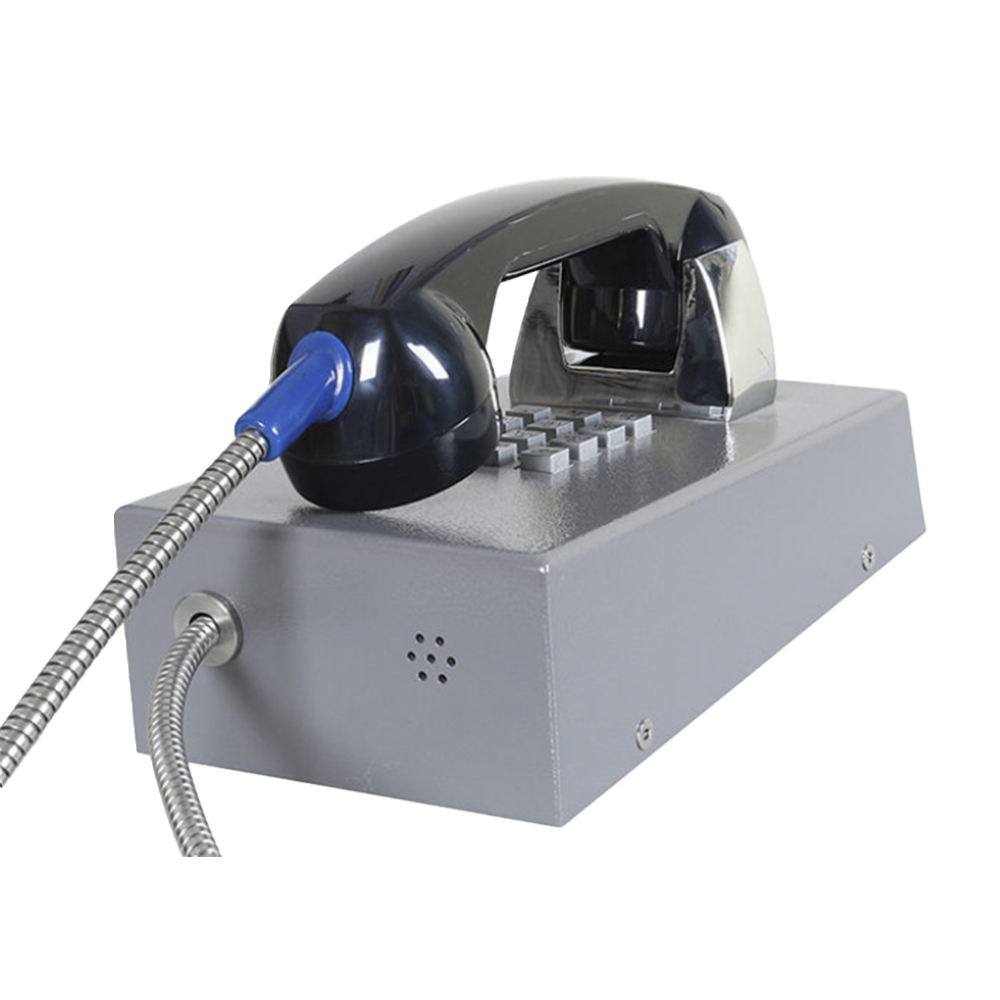 JR201-FK Telefono Antivandalico Vozell - Image 8
