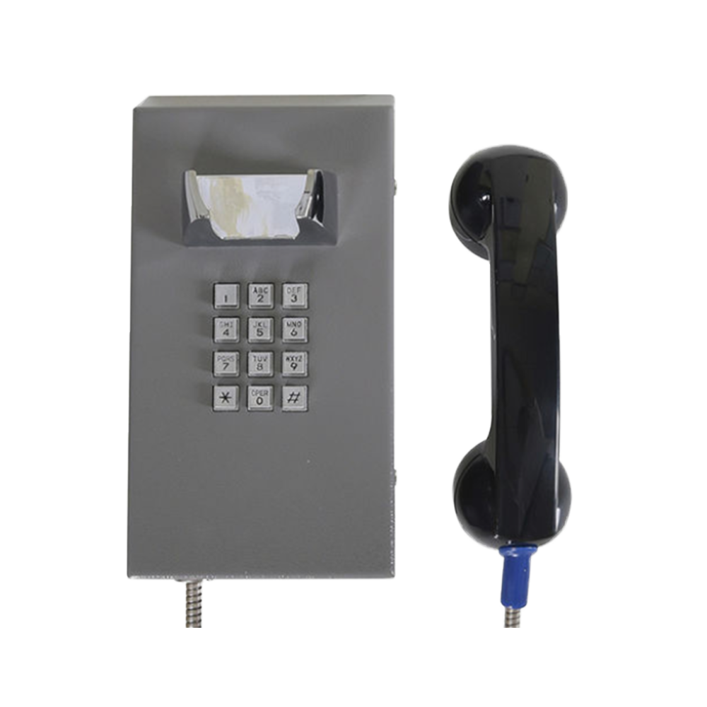 JR201-FK Telefono Antivandalico Vozell - Image 6