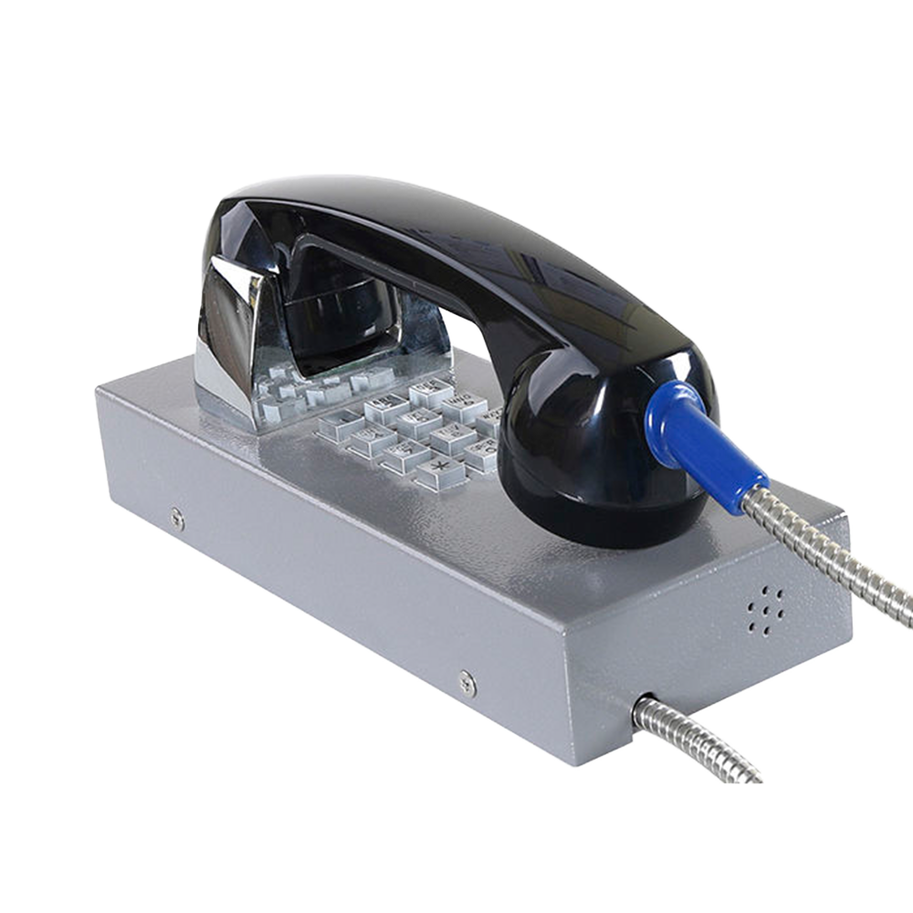 JR202-FK Telefono Antivandalico Vozell - Image 5